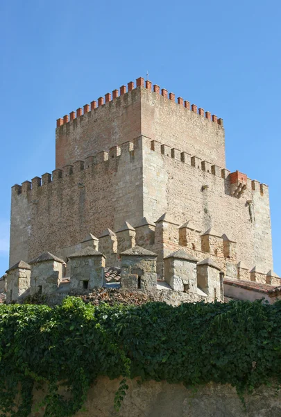 Torre medieval del castillo — Foto de Stock