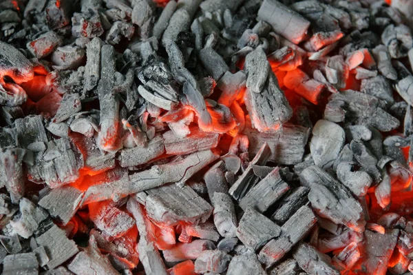 Pilha de cinzas de madeira — Fotografia de Stock