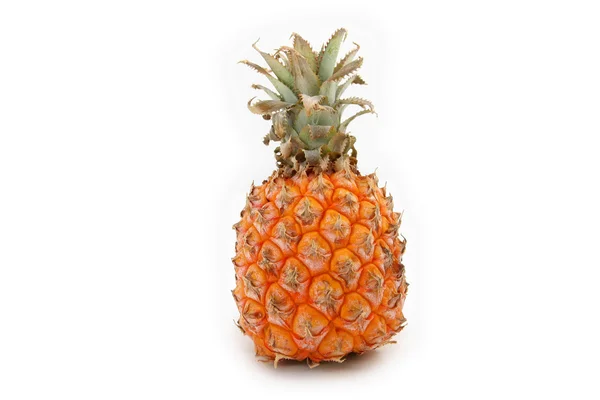 stock image Baby pinapple