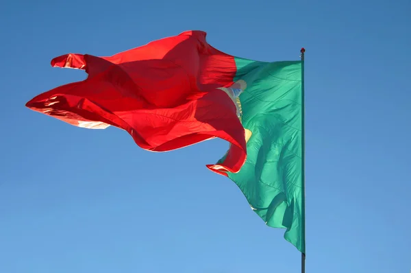 Portugal Flag — Stock Photo, Image