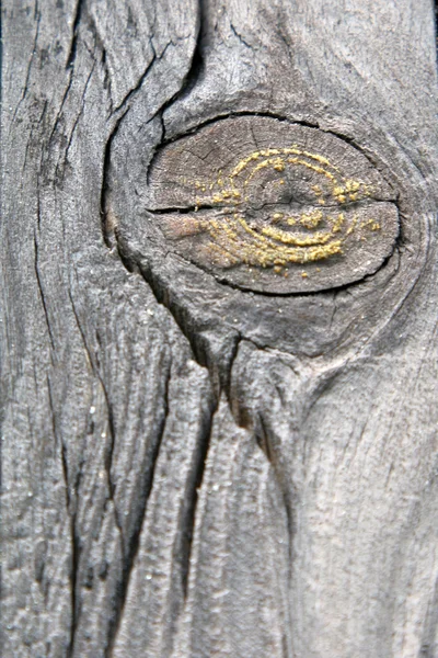 Schlagloch auf einer Holzplanke — Stockfoto