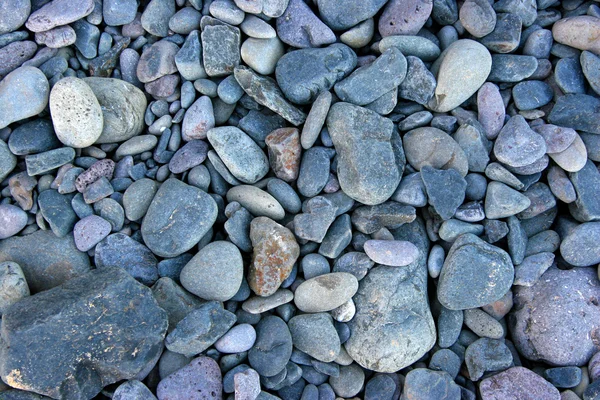 Pedras de seixo em uma praia — Fotografia de Stock