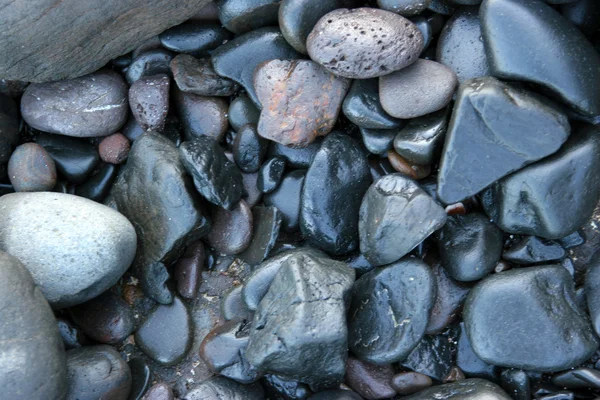 Pedras de seixo em uma praia — Fotografia de Stock