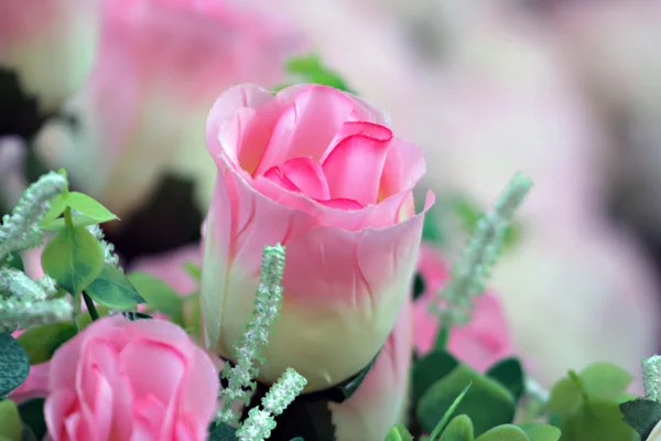 Небольшая розовая роза с выборочным фокусом — стоковое фото
