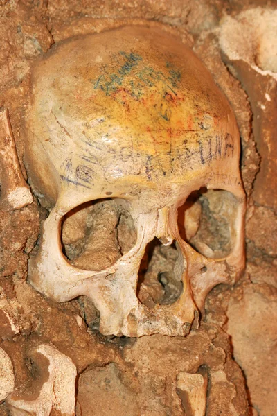 Old human skull from the bone chapel in evora