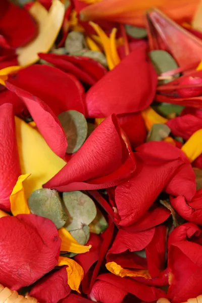 Petal en bloemen pot pourri — Stockfoto