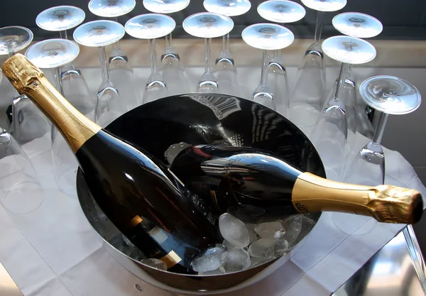 Шампанські пляшки на мисці Ліцензійні Стокові Фото