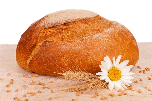 Pyöreä valkoinen leipä — kuvapankkivalokuva