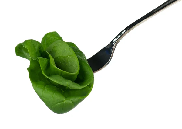 Spinach on a fork — Stock Photo, Image