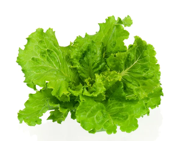 Friss saláta Stock Kép