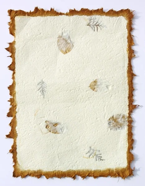 Papier de mûrier avec feuilles — Photo