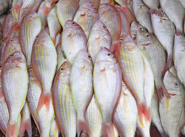 Рыба на рынке Таиланда — стоковое фото