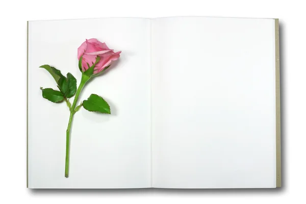 Róża na książki pamiętać, izolat — Zdjęcie stockowe