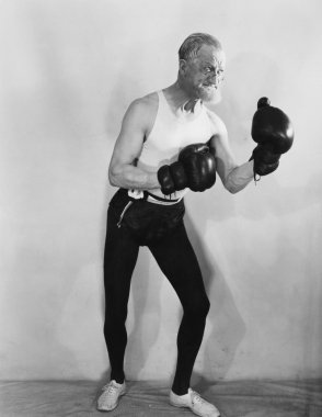 Portrait of mature boxer clipart