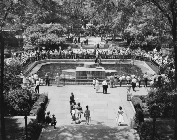 Η πισίνα του σφραγίδα στο Σέντραλ Παρκ ζωολογικό κήπο, Νέα Υόρκη, ny — Φωτογραφία Αρχείου