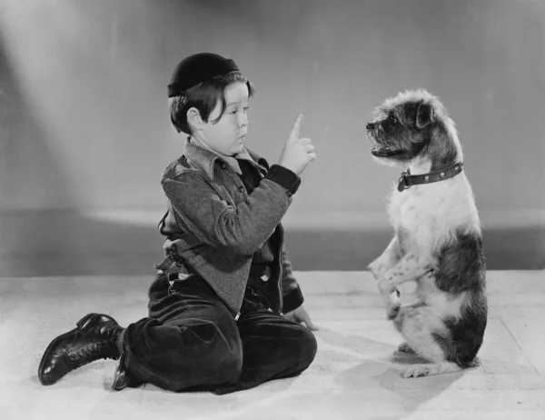 Um rapaz e o seu cão — Fotografia de Stock