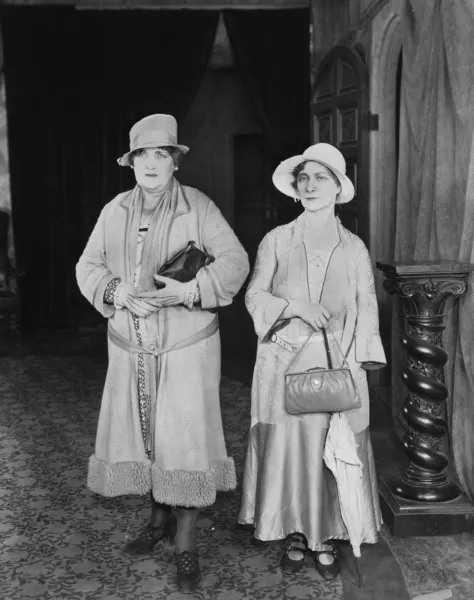 Πορτρέτο του δύο γυναίκες μέσης ηλικίας — Φωτογραφία Αρχείου