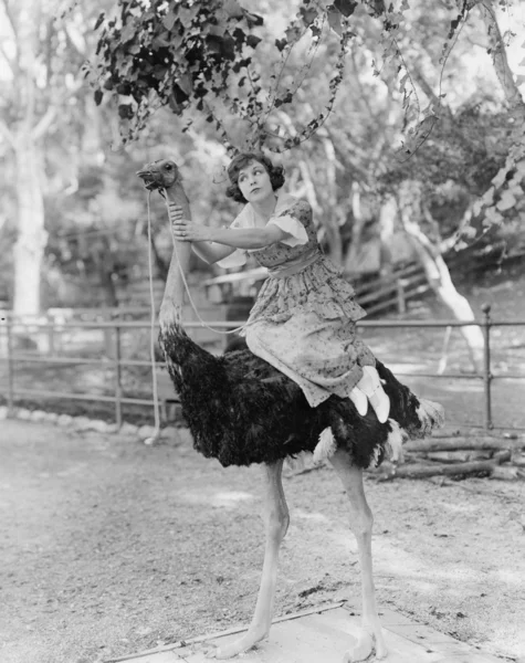 Mulher cavalgando avestruz — Fotografia de Stock