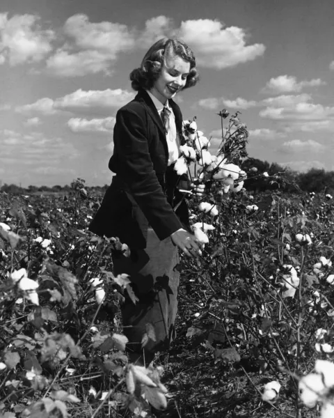 Kobieta zbieranie kwiaty w dziedzinie — Zdjęcie stockowe