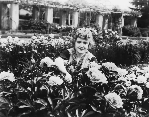 Kobieta Pielęgnacja kwiatów w ogrodzie — Zdjęcie stockowe