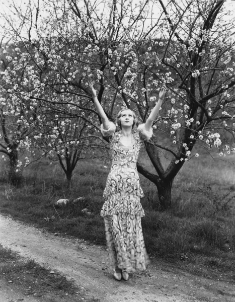 Mulher com árvores floridas — Fotografia de Stock