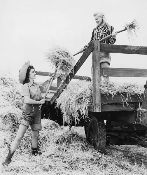 Young women bucking hay — Stock Photo, Image