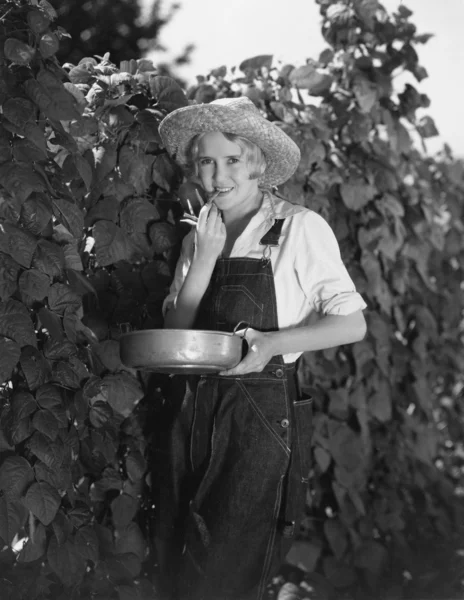 Giovane donna raccogliendo fagioli — Foto Stock