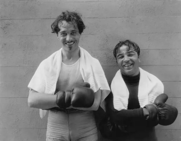 Portret dwóch bokserów — Zdjęcie stockowe