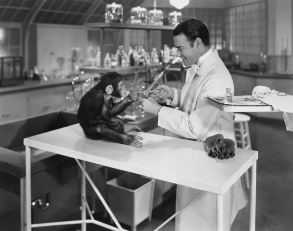 動物実験 — ストック写真