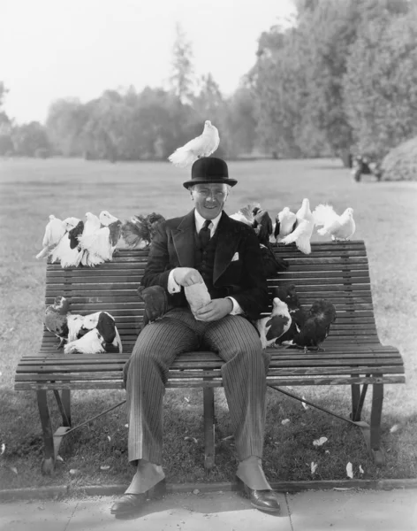 在公园的长凳上喂鸽子的人 免版税图库照片