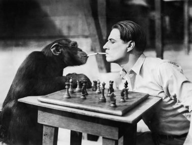 genç bir adam ve sigara ve satranç oynarken bir şempanze profili