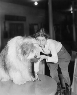 Young woman offering her bearded collie a drink of water clipart