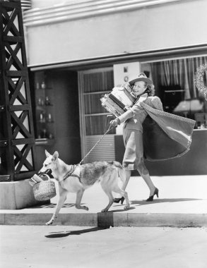 Young woman going shopping with her German shepherd and carrying presents clipart