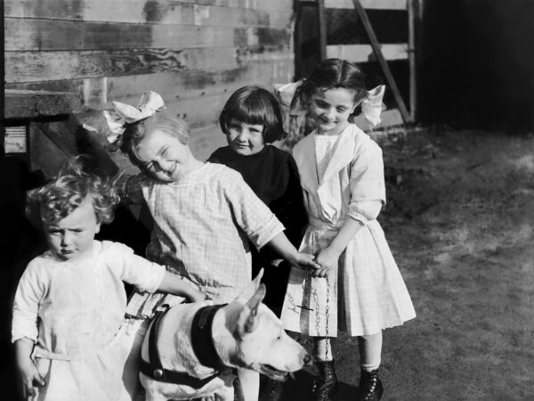 Портрет детей снаружи с собакой
