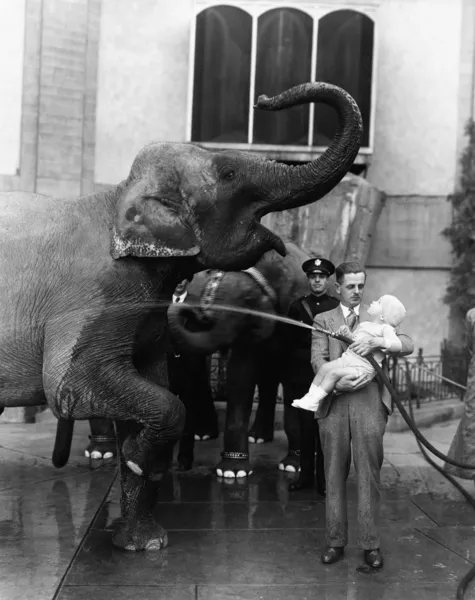 Человек держит ребенка и стирает слона — стоковое фото