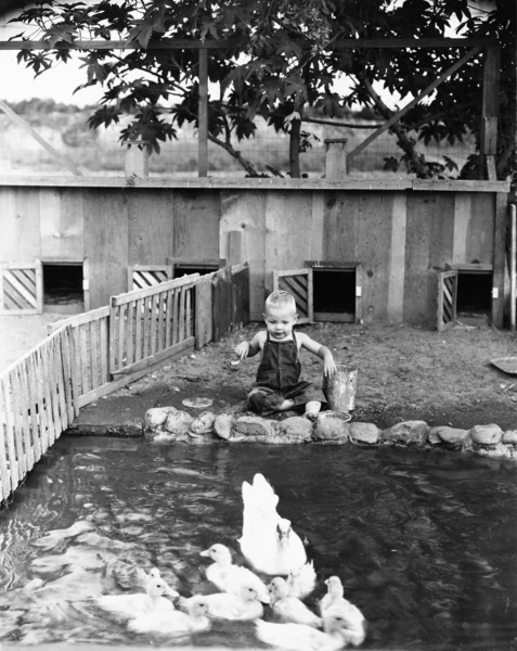 Παιδί στην άκρη της λίμνης πάπια — Φωτογραφία Αρχείου