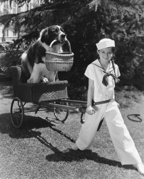 Menina de terno de marinheiro puxando cão na cesta — Fotografia de Stock