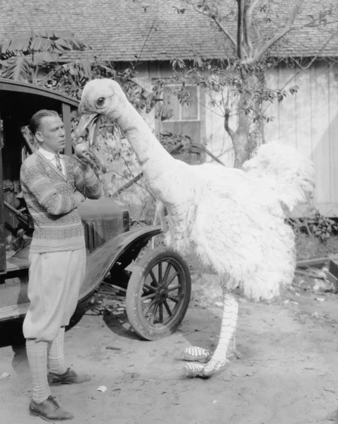 Homem com avestruz falsa grande — Fotografia de Stock