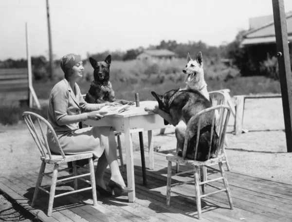 Mulher sentada à mesa do lado de fora com três cães — Fotografia de Stock
