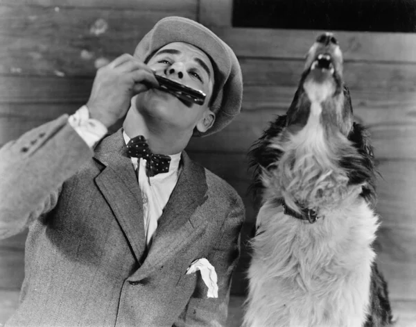 Hombre tocando armónica con perro aullando — Foto de Stock