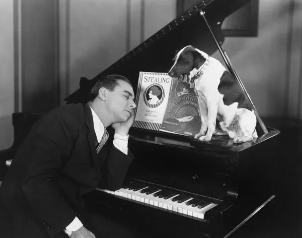 Чоловік спить на піаніно з собакою — стокове фото