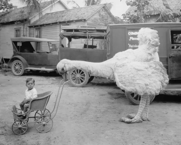 Fake ostrich pushing boy in stroller — Stock Photo, Image