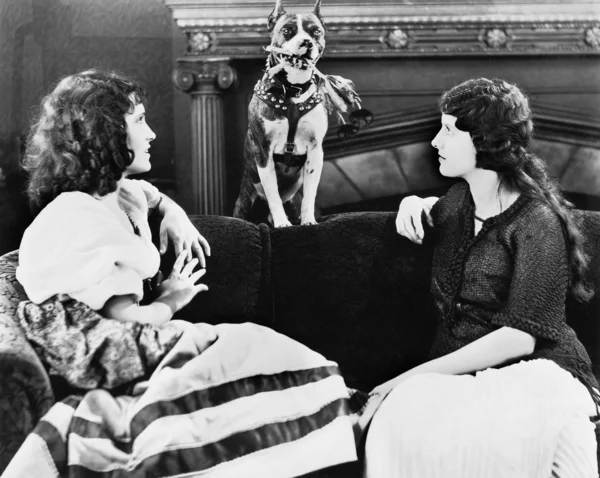 Dos mujeres en el sofá con el perro — Foto de Stock