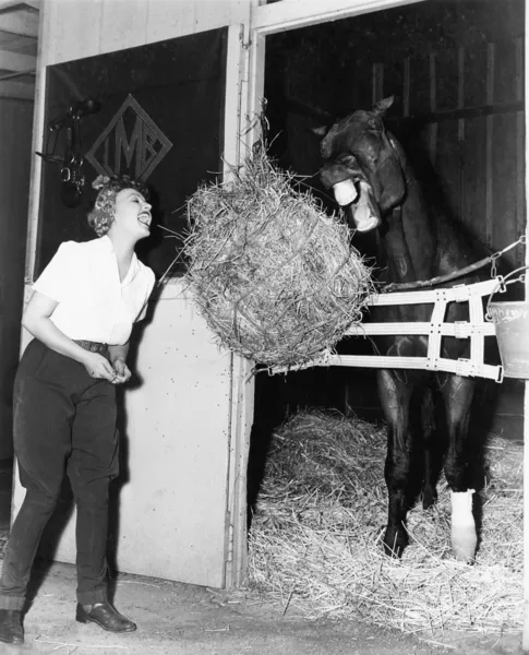 Žena předstírá, že jíst balíku sena s koněm — Stock fotografie