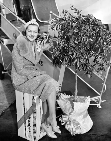 Woman sitting on a crate of oranges next to a plane and citrus tree — Stock Photo, Image