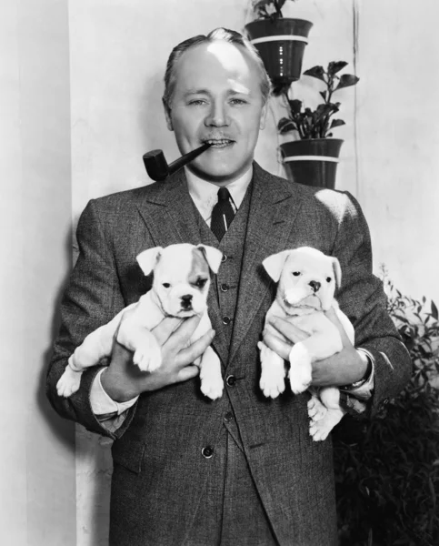 Hombre sosteniendo dos cachorros Bulldog Inglés — Foto de Stock