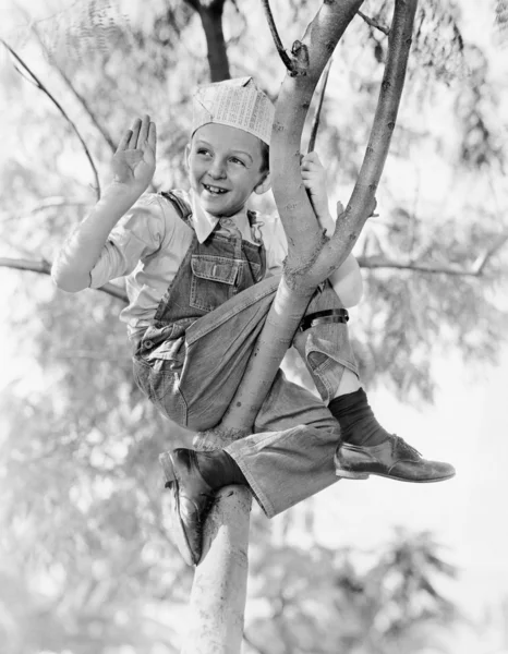 一个男孩坐在一棵树上的低角度视图 — 图库照片