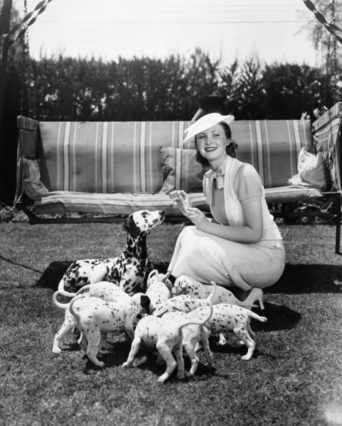 Woman feeding her dog and puppies — Stock Photo, Image
