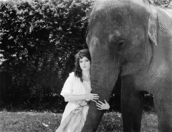 Mujer joven abrazando el tronco de un elefante — Foto de Stock