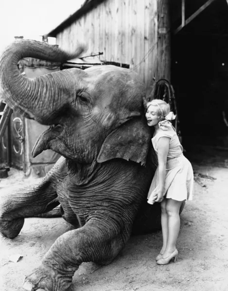 Profil av en ung kvinna som kramar en elefant — Stockfoto